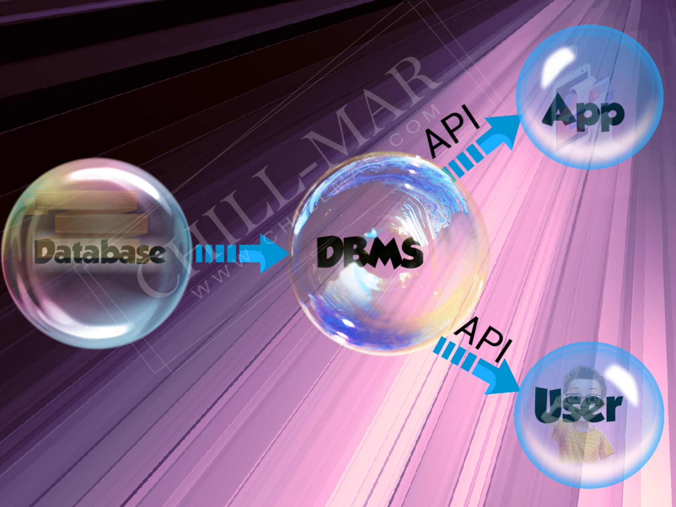 database management system